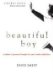 Beautiful Boy : A Father's Journey Through His Son's Meth Addiction cover