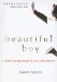 Beautiful Boy : A Father's Journey Through His Son's Meth Addiction cover