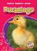 Ducklings cover