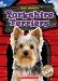 Yorkshire Terriers cover