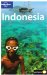Lonely Planet Indonesia cover