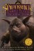 The Seeing Stone cover