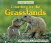 Counting in the Grasslands cover