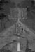 Joyride : Aka Road Kill cover