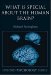 What is Special about the Human Brain? cover