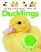 My Little Noisy Book of Ducklings cover