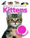 My Little Noisy Book of Kittens cover