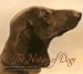 The Nature of Dogs cover