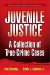 Juvenile Justice : A Collection of True-crime Cases cover