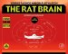 The Rat Brain in Stereotaxic Coordinates cover