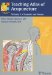 Teaching Atlas of Acupuncture : Channels and Points cover