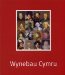 Wynebau Cymru cover