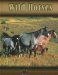 Wild Horses cover