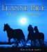 Light of the Moon cover