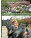 A Happy Ending for Rescued Horses cover