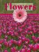 Flowers cover