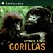 Gorillas cover