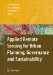 Applied Remote Sensing for Urban Planning, Governance And Sustainability cover