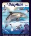 Uncover a Dolphin : The Inside Story on the Ocean's Smartest Animal! cover