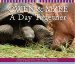 A Day Together cover
