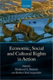 Economic, Social and Cultural Rights in Action [Click for larger image]
