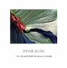 Stone Music : The Art and Poetry of Susan Gardner cover