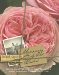 Memory of Old Roses : Notes from the Life of New Zealand's Great Rosarian cover