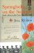 Springboks on the Somme : South Africa in the Great War 1914 - 1918 cover
