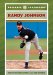 Randy Johnson cover