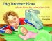Big Brother Now : A Story About Me and Our New Baby cover