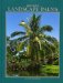 Betrock's Landscape Palms cover