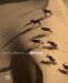 Vanishing Wilderness of Africa cover