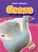 Geese cover