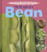 The Life Cycle of a Bean cover
