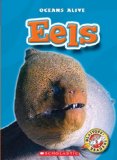 Eels [Click for larger image]