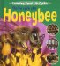 The Life Cycle of a Honeybee cover