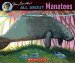 Jim Arnosky's All About Manatees cover