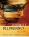 Juvenile Delinquency : The Core cover