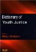 Dictionary of Youth Justice cover