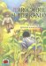Allen Jay Y El Ferrocarril Subterraneo/Allen Jay and the Undergound Railroad cover