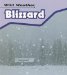 Blizzard cover