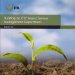 Building an (Itil Based) Service Management Department cover