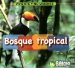 Bosque tropical/ Rain Forest cover