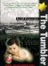 The Tumbler : Kassa (Kosice)--Auschwitz--Sweden--Israel  a True Story  Deported with His Family to Auschwitz Nazi Death Camp When He Was Only 16 Years Old cover