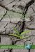 Resiliency Reconsidered : Policy Implications of the Resiliency Movement cover