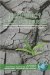 Resiliency Reconsidered : Policy Implications of the Resiliency Movement cover