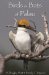 Birds and Bats of Palau cover
