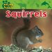 Squirrels cover