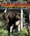 Tyrannosaurus : The Tyrant Lizard cover
