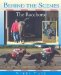 Behind the Scenes : The Racehorse cover